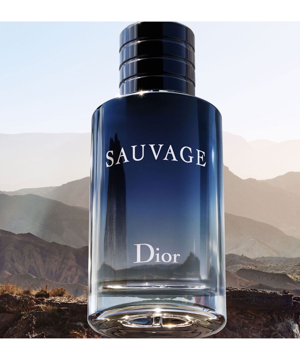 Sauvage Edt (100Ml)